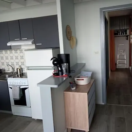 Chez Loïc Et Mélanie Appartement Besse-et-Saint-Anastaise